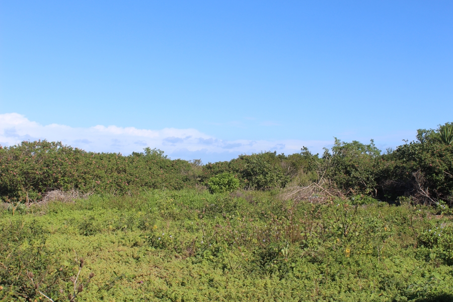 0 Bedroom Property for Sale in Forest Downs Eastern Cape